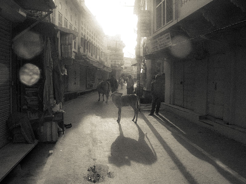 Howard Jay Heyman Photography
